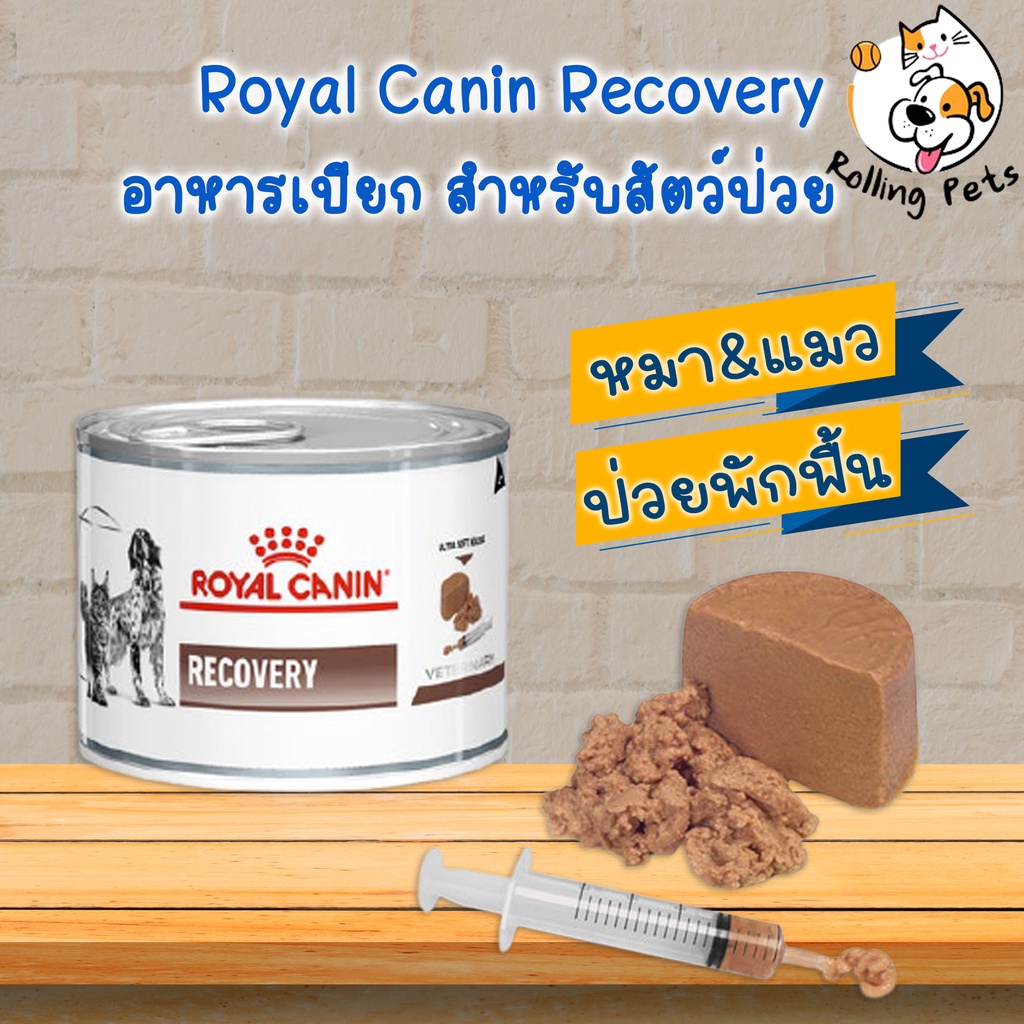 Royal Canin Recovery อาหารเปียก สำหรับสุนัขและแมว ป่วยพักฟื้น อาหารสัตว์ป่วย
