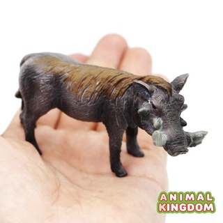 Animal Kingdom - โมเดลสัตว์ หมูป่า ขนาด 9.50 CM (จากหาดใหญ่)