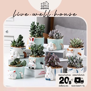 live.well.house | Plant pot กระถางเซรามิก กระถางต้นไม้ กระถางรูปสัตว์ กระถางต้นกระบองเพชร แคคตัส พร้อมส่ง