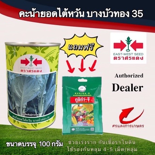 เมล็ดพันธุ์ คะน้าบางบัวทอง 500g แถมกูซิก้าจีซองเล็ก