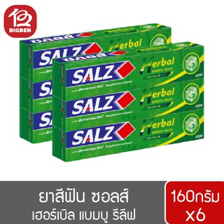 [แพ็ค 6 หลอด] ยาสีฟัน SALZ ซอลส์ เฮอร์เบิล แบมบู รีลีฟ 160 กรัม