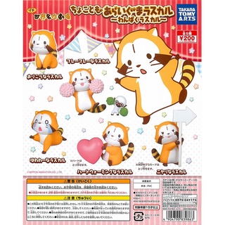 Gashapon Anime Rascal the Raccoon Naughtiness - กาชาปอง การ์ตูน อะนิเมะ ญี่ปุ่น รัชเชล เดอะแร็กคูน แรคคูน