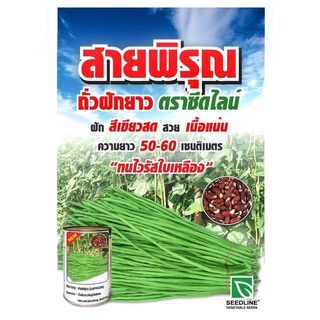 เมล็ดพันธุ์ถั่วฝักยาว สายพิรุณ (SAIPIROON) ขนาด 100 กรัม
