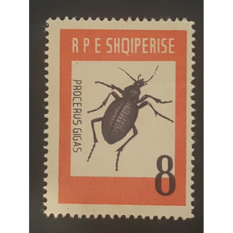 Albania, 阿尔巴尼亚, 1963 แมลง - ด้วง, MINT, LOOSE STAMP