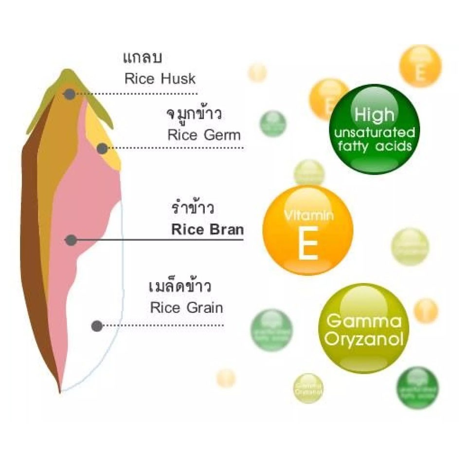 Vistra Rice Bran Oil & Germ Oil Plus 40 แคปซูล ลดโคเลสเตอรอล ช่วยบำรุงสมอง - รูปที่ 3