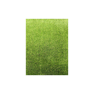 หญ้าเทียม หญ้าเทียมเกรดเอ หญ้าเทียมม้วน จัดส่งฟรีทั่วประเทศ หญ้าแผ่นหนา สำหรับตกแต่งสวน ตกแต่งบ้าน และจัดสวน