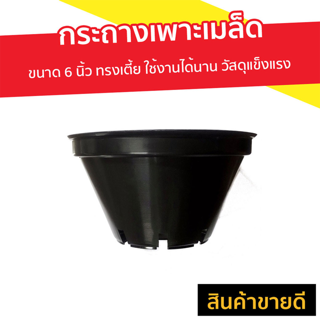 [แพ็ค5อัน] กระถางเพาะเมล็ด ขนาด 6 นิ้ว ทรงเตี้ย ใช้งานได้นาน วัสดุแข็งแรง - กระถางพลาสติก กระถางดอกไม้ กระถางต้นไม้