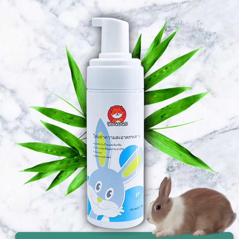 รูปภาพ 7