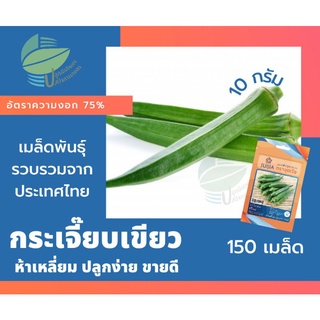 กระเจี๊ยบเขียว (Okra)