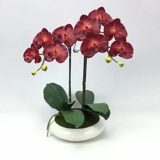 OrientalFineArt ดอกกล้วยไม้ปลอม phalaenopsis orchid plant pot arrangement