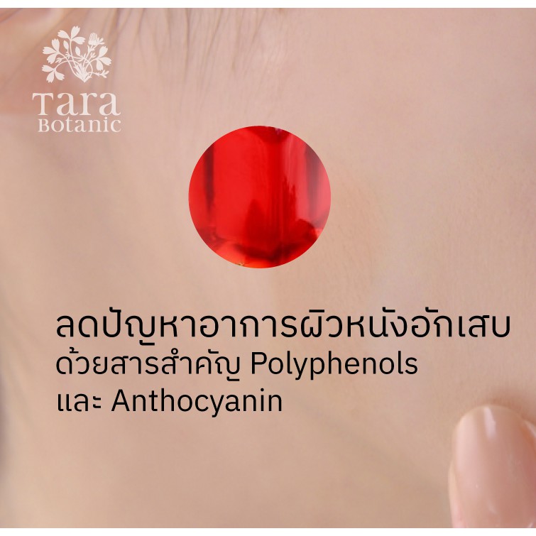 Rose Hip Oil Extra Virgin Cold-pressed น้ำมันโรสฮิปออย์ รูปที่ 8
