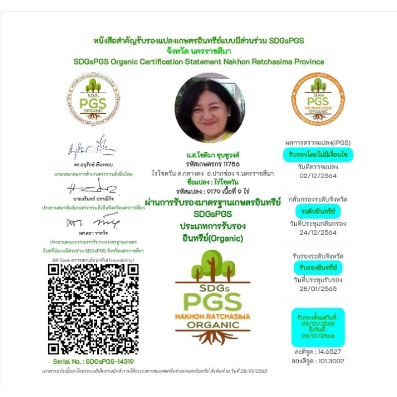 ไร่โชตวันหน่อว่านหางจระเข้กาบใหญ่ชุด 6 ต้น รูปที่ 6