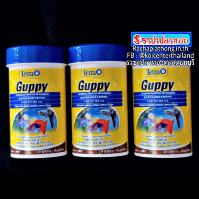 อาหารปลา TETRA GUPPY
