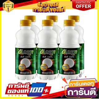 🔥สุด🔥 อัมพวา กะทิ100% 250ml/ขวด แพ็คละ6ขวด Coconut Milk ขาว ข้น หอม มัน คั้นกะทิสด คั้นทันทีตั้งแต่กระเทาะเปลือก 🚚💨