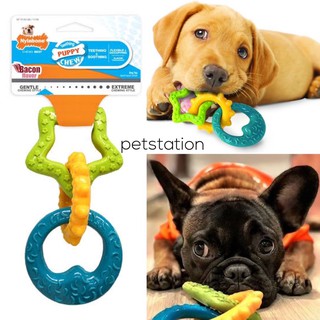 Nylabone Power Chew ของเล่นขัดฟัน