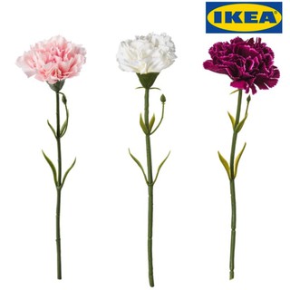 IKEA แท้ ดอกคาเนชั่น canation ดอกไม้ประดิษฐ์, ดอกคาร์เนชั่น, สีขาว, สีชมพู, สีชมพูเข้ม 30 ซม.