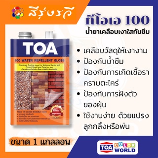 ทีโอเอ 100 น้ำยาเคลือบเงาใสกันซึม หินทราย หินกาบ หินล้าง ทรายล้าง หินธรรมชาติ อิฐโชว์ กระเบื้องดินเผา ผนังปูนคอนกรีต