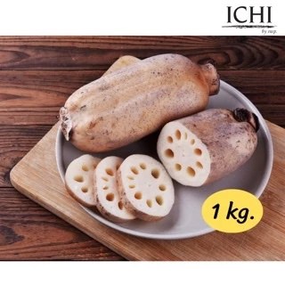 🥔 “รากบัวสด” สมุนไพรจีนมากคุณประโยชน์ (1kg.)