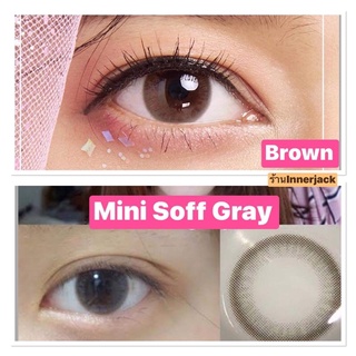 🐿Mini soff Brown,Gray🐿สายตาปกติถึง-5.00,-5.50,-6.50(kitty kawaii)soft