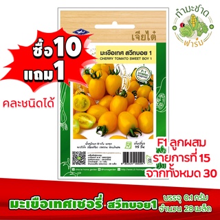 (ซื้อ10แถม1) เมล็ดพันธุ์ มะเขือเทศเชอรี่ สวีทบอย1 Cherry tomato sweet boy 1 ประมาณ 28เมล็ด เจียไต๋ เมล็ดพันธุ์พืช