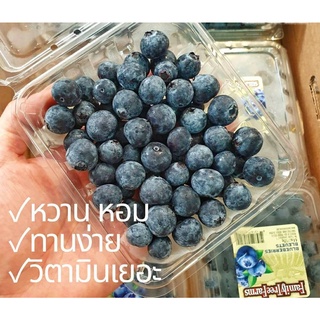 TOP-1บลูเบอรี่นำเข้า Blueberry (USA/NZL/Peru/Chile) (1แพค) ~ลดพิเศษ~ Premium ที่สุดของบลูเบอร์รี่ บลูเบอรี่สด