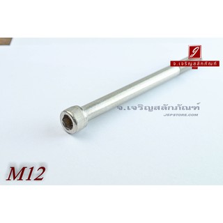 น็อตหัวจมสแตนเลส M12x150