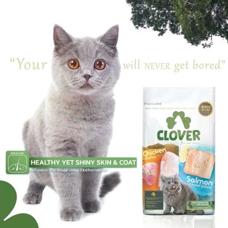 อาการแมว Clover  ขนาด 1.5 kgsถูกมากๆๆ ร้านนี้ 🍀