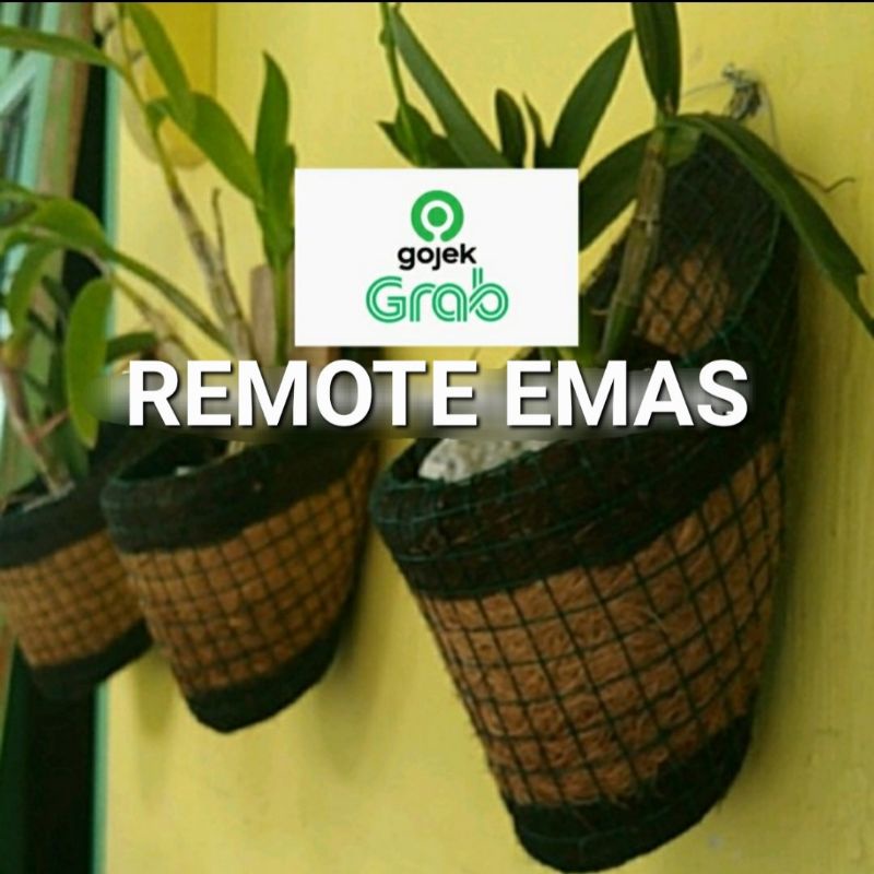WALL-MOUNTED CONE ORCHID POT WITHเส้นใยมะพร้าว