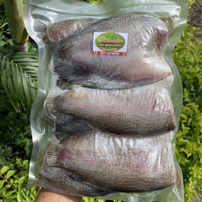 ปลาสลิดไซใหญ่ 6,7,8,9-10 ตัวโล มีทุกไซย์ เล็ก กลาง ใหญ่ มีทุกเบอร์จ้า