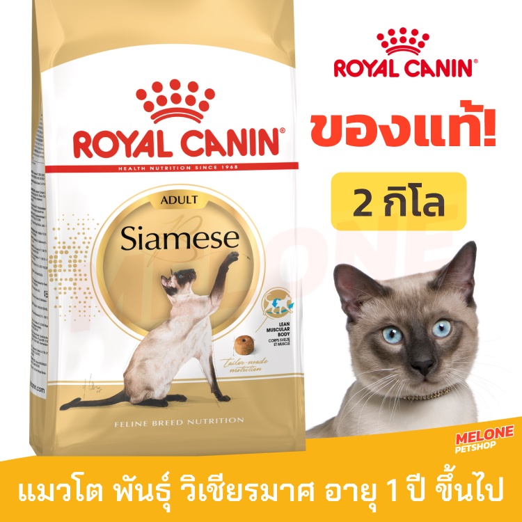 Royal Canin Siamese Adult อาหารแมว พันธุ์ วิเชียรมาศ อาหารแมว อายุ 1 ปี ขึ้นไป ขนาด 2kg
