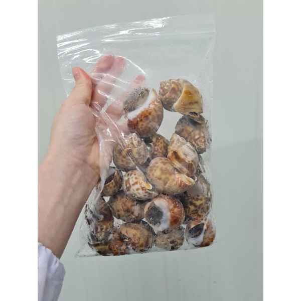 หอยหวาน20-30ตัว(กก) บรรจุ 500กรัม/แพ็ก
