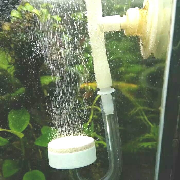 Diy ceramic Diffuser ragil cisod tube โดย ONE square