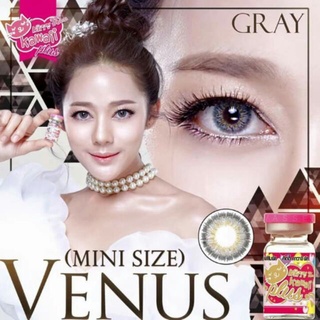 บิ๊กอาย คอนแทคเลนส์ รุ่น venus Gray ยี่ห้อ kitty kawaii พร้อมส่ง