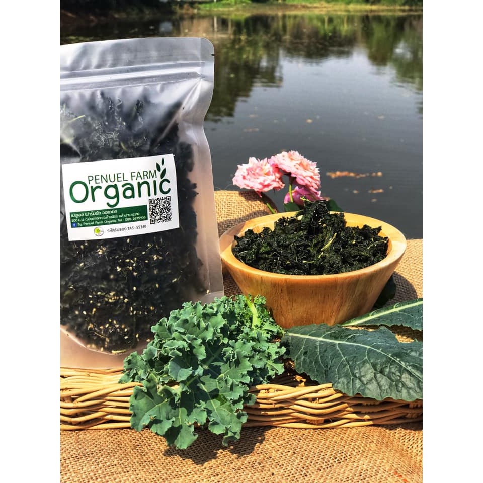 KETO Kale เคลอบกรอบ ขนาด 1 ซอง/ 65 กรัม