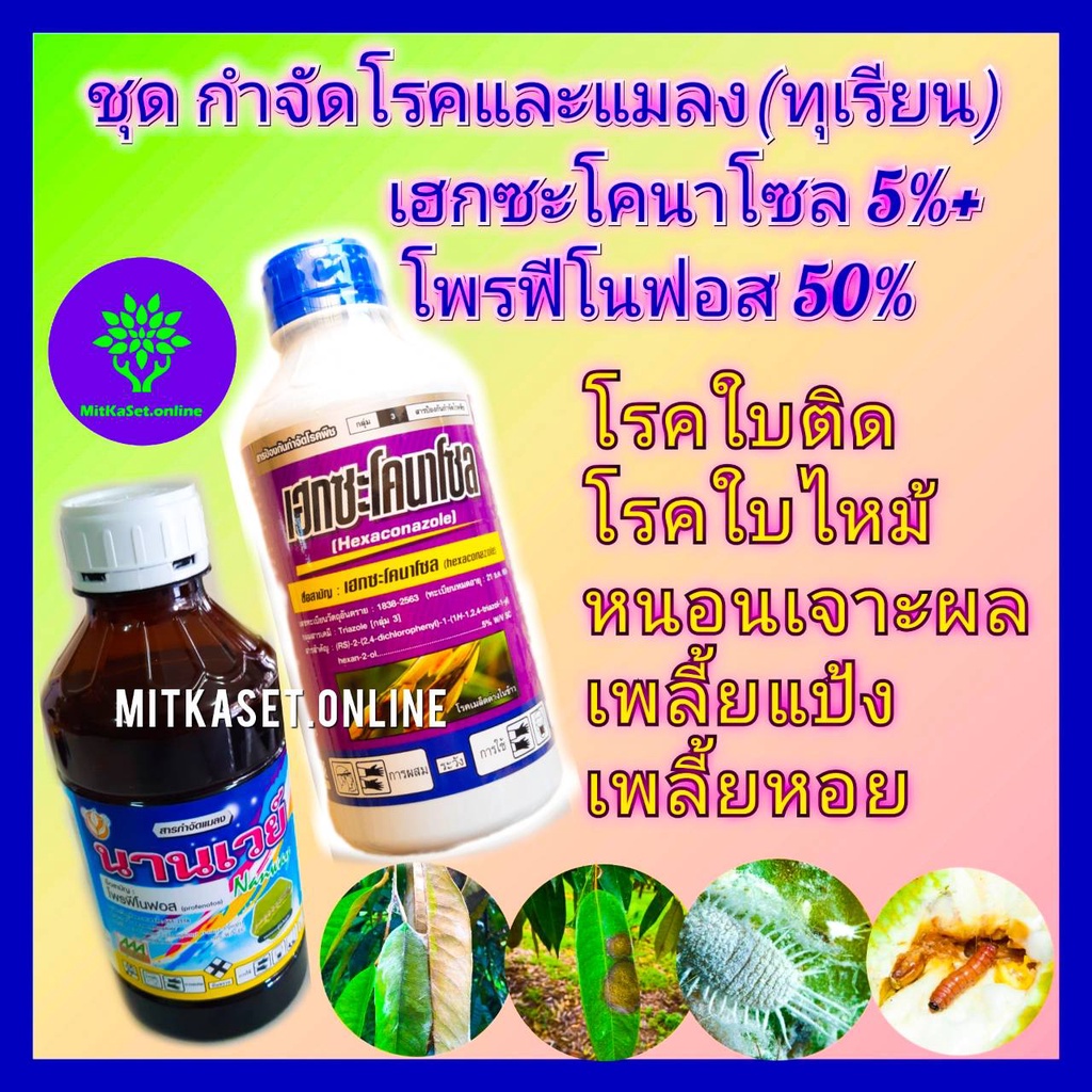 My Image 48
