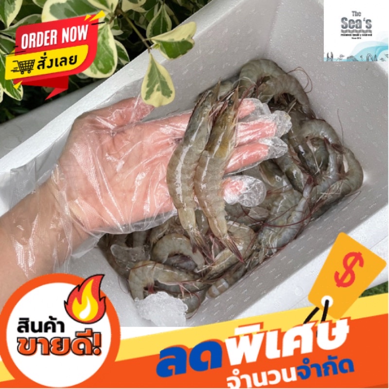 The Sea's กุ้งขาวสดไซส์คละ50-90ตัว/ต่อโล (fresh white shrimp/กุ้งขาวสด/ ใส่โฟมน้อคน้ำแข็งให้ค่ะ