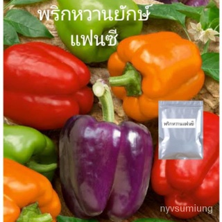 ผู้ผลิตเมล็ดพันธุ์/พริกหวานยักษ์แฟนซี คละสี 15เมล็ด/อินทรีย์ คละ สวนครัว ดอก