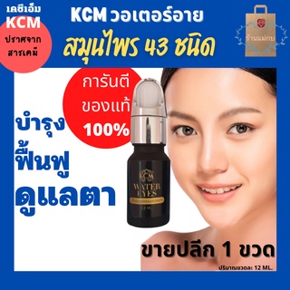 KCM Water Eyes เคซีเอ็ม วอเตอร์อาย ตา ดวงตา บำรุงดวงตา ดูแลดวงตา ถนอมดวงตา ฟื้นฟูดวงตา ตาแดง ตาแห้ง ตาอักเสบ ต้อลม 1 ขวด