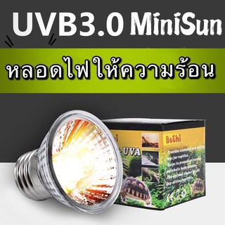 หลอดไฟให้ความร้อน MiniSun UVA​/UVB​ 3.0​ สำหรับเต่าน้ำ​​ เต่าบก​ สัตว์เลื้อยคลาน ใช้คู่กับขั้วหลอดไฟเซรามิค​ได้