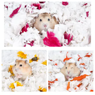 【HiHamster】JOSANTY รองกรงหนูแฮมสเตอร์ ขี้เลื่อย 450g กระดาษทิชชูสัตว์เลี้ยง