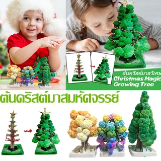 🔥พร้อมส่ง🔥 ต้นคริสต์มาส ต้นไม้วิทยาศาสตร์ Magic Growing Christmas Tree ของขวัญคริสต์มาส