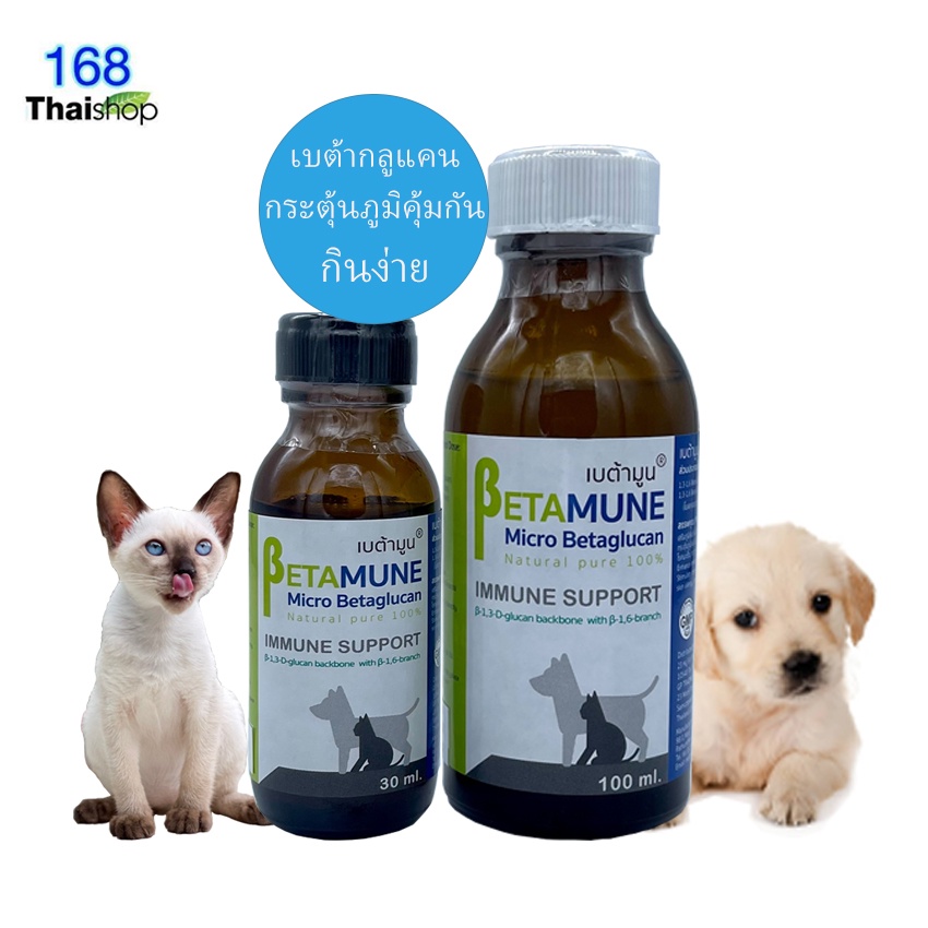🚚ส่งไว ✅สินค้าใหม่ betamune micro betaglucan เบต้ามูนวิตามินกระตุ้นภูมิสุนัขและแมว ผลิตจากเบต้ากลูแคนโมเลกุลเล็ก