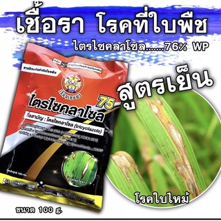 ไตรไซคลาโซล 75% WP 100g. บีม โรคใบไหม้ในข้าว ข้าวใบไหม้ โรคใบไหม้ โรคใบไหม้ ขอบใบไหม้ ปลายใบไม้ ใบเหลืองจากเชื้อราใบไหม้