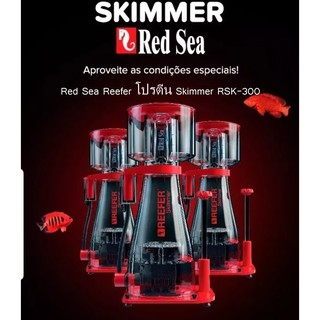 RedSea Reefer โปรตีน Skimmer RSK-300 รับประกัน 1 ปี รองรับน้ำไม่เกิน 900 ลิตร