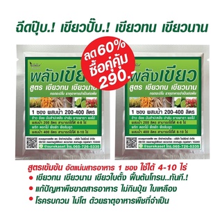 พลังเขียว สูตรเขียวทน เขียวนาน ฟื้นต้นโทรมทันที.! ชุดคู่คุ้มลด 60% ฉีดปุ๊บเขียวปุ๊บ โตไวใบเขียว เร่งต้น เร่งใบ เร่งดอก