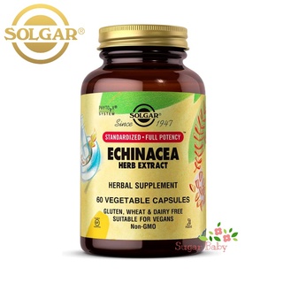 Solgar Echinacea Herb Extract 60 Vegetable Capsules เอ็คไคนาเซีย 60 เวจจี้แคปซูล