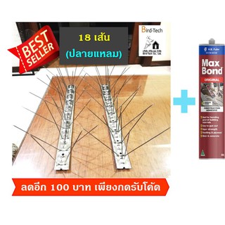 หนามไล่นก bird spike สแตนเลส ➡️ปลายแหลม⬅️ 18 เส้น แถม กาวตะปู 1 หลอด จำนวนหนาม 90 กิ่งต่อเมตร