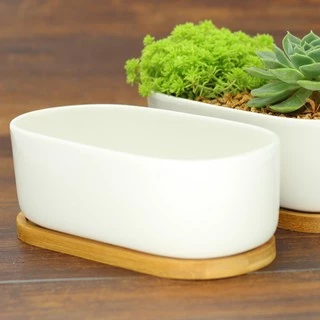 Plants Center T202 กระถางต้นไม้ เซรามิกขาวทรงรี มาพร้อมถาดรองไม้ ขนาด วัสดุเซรามิกเคลือบเงา ขนาด 17.5*8*6cm