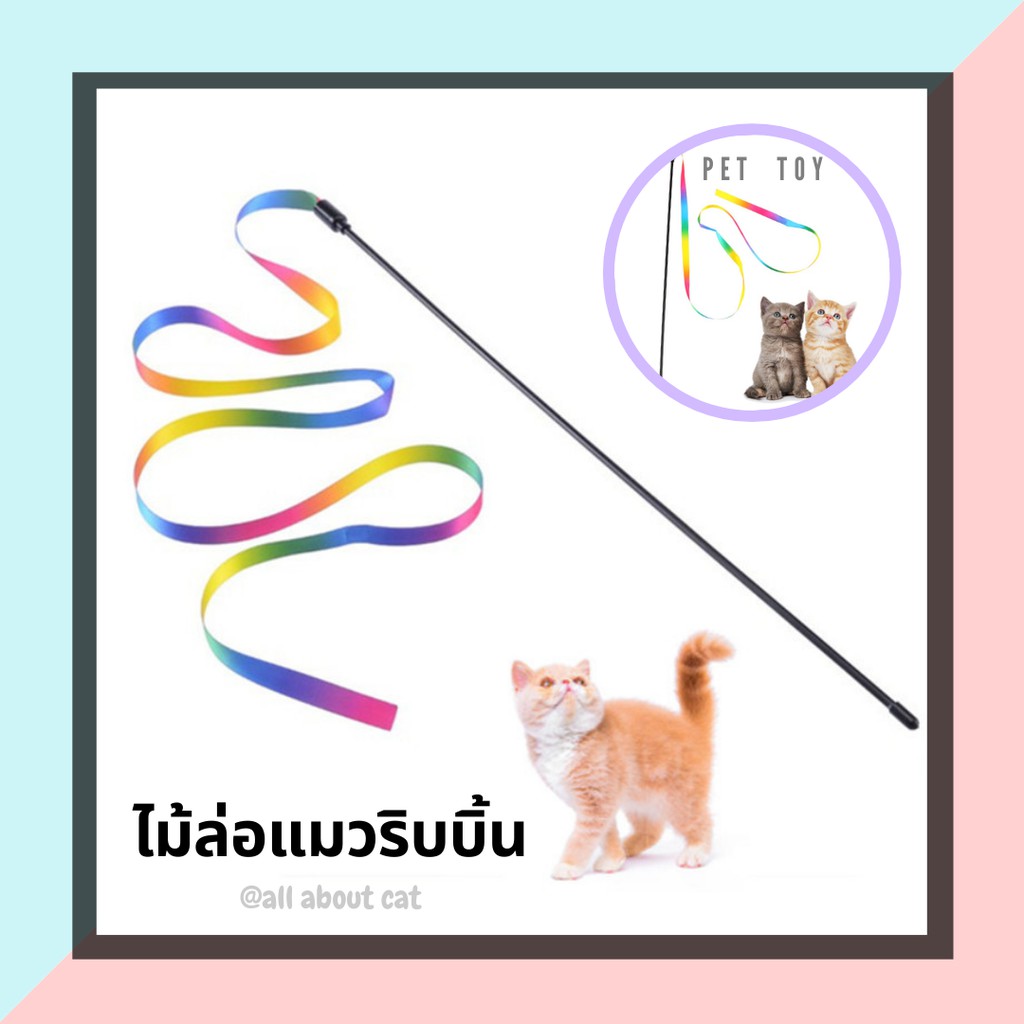 [ ABC cat ] ไม้ล่อแมวริบบิ้นรุ้ง สีพลาสเทล ของเล่นสำหรับสัตว์เลี้ยง
