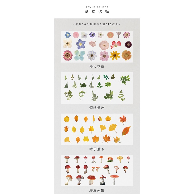 Qouzmo สติ๊กเกอร์กันน้ํา 8 แบบสําหรับตกแต่งสมุดภาพ 40 ชิ้น / แพ็ค - รูปที่ 4